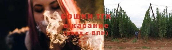 ешки Верхний Тагил