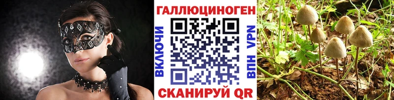 Галлюциногенные грибы прущие грибы  мориарти официальный сайт  Брюховецкая 